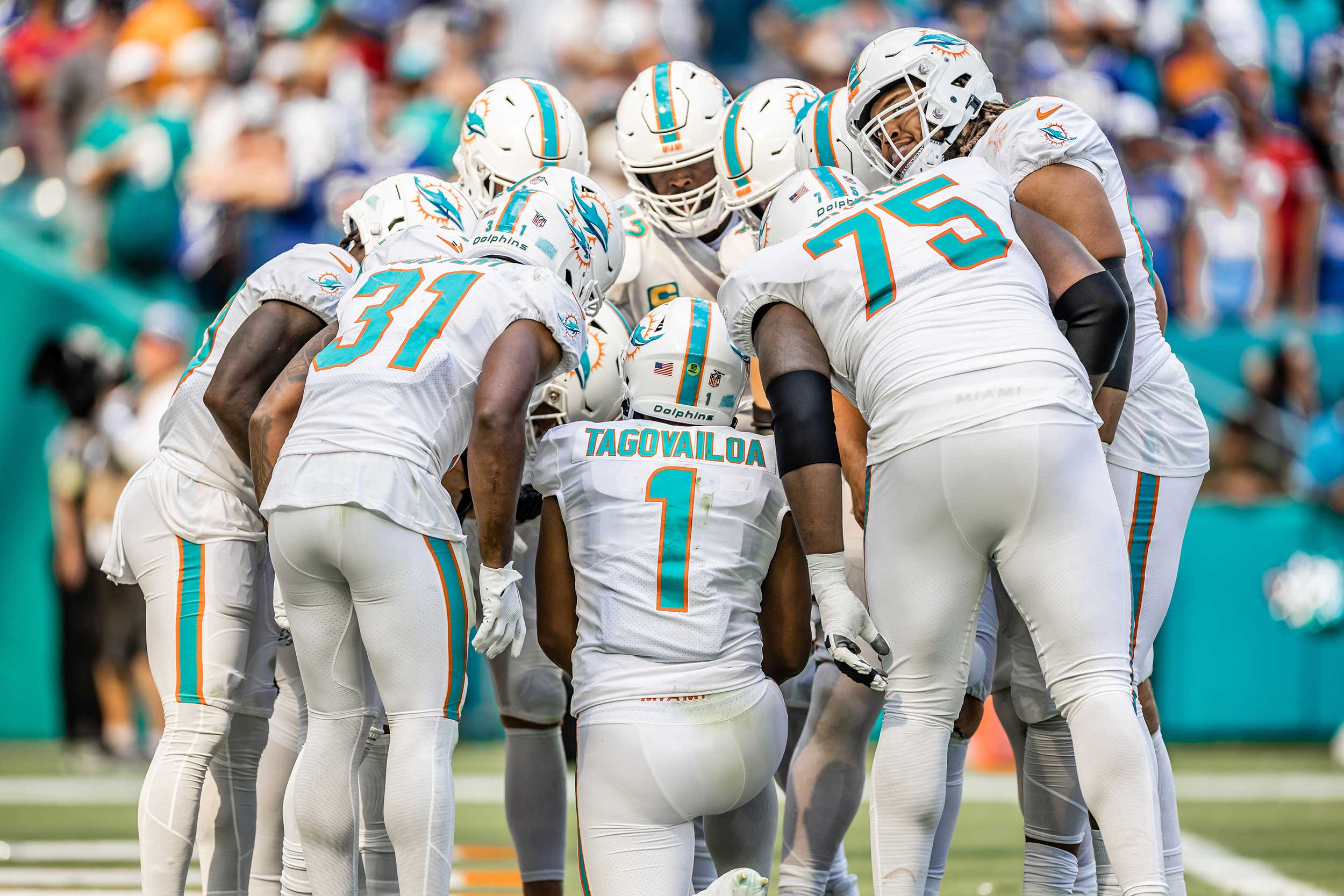 Miami Dolphins Huddle